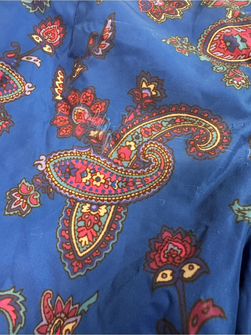 Birdwell Beach Britches Men’s Ltd edition Paisley Swim Trunks Board Shorts Sz 30 - Picture 6 of 9